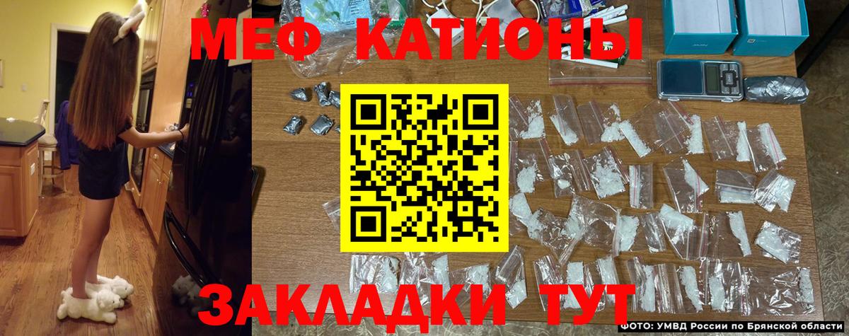 МЕФ Реж