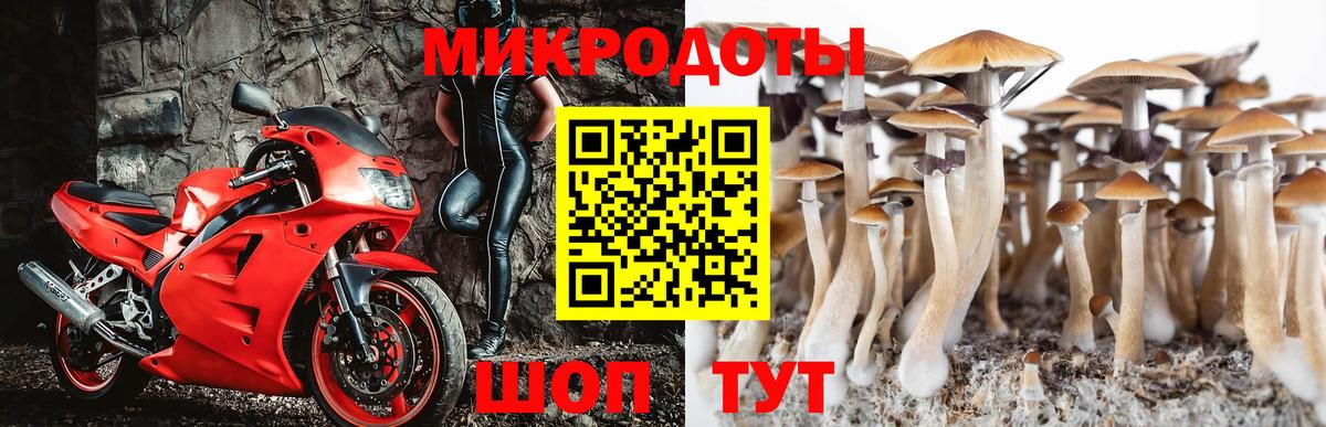 Псилоцибиновые грибы Magic Shrooms Реж