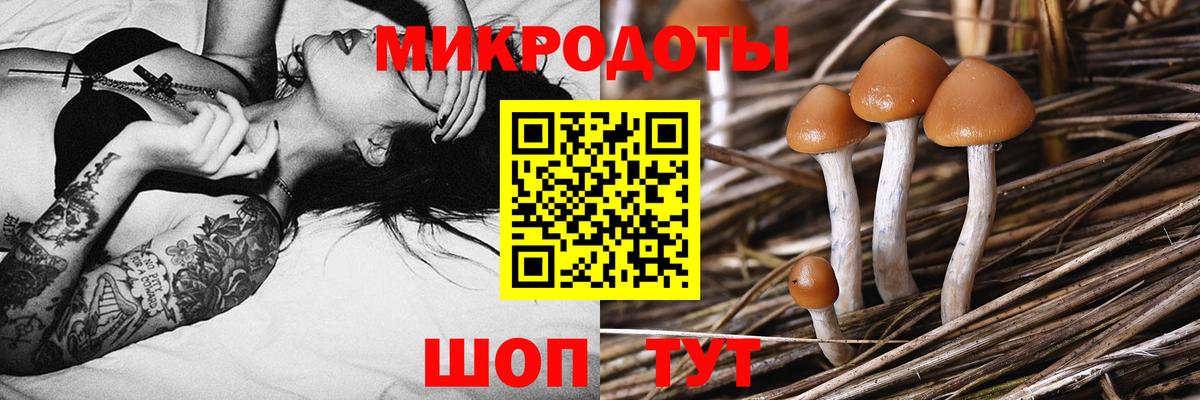 Реж  Псилоцибиновые грибы GOLDEN TEACHER  Галлюциногенные грибы Psilocybe  Вход с VPN 